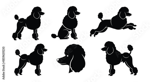 Elegant poodle silhouettes in various poses a collection of canine artistry