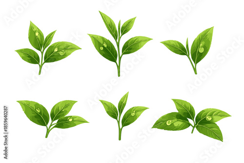 Green Tea Leaves with Water Droplets on Glowing Background