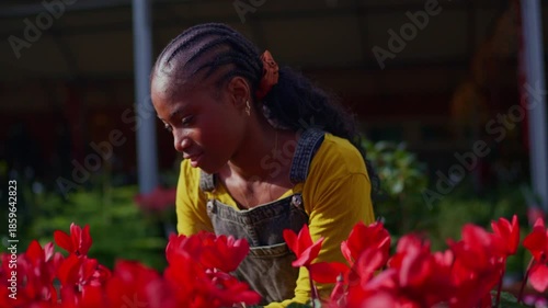 African american woman caring for red flowers in a greenhouse