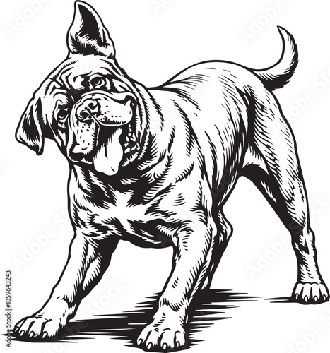 funny dogue de bordeaux