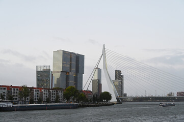 Fototapete Erasmusbrücke Noordereiland Hochhäuser an der Erasmusbrug  © Peter Oetelshofen