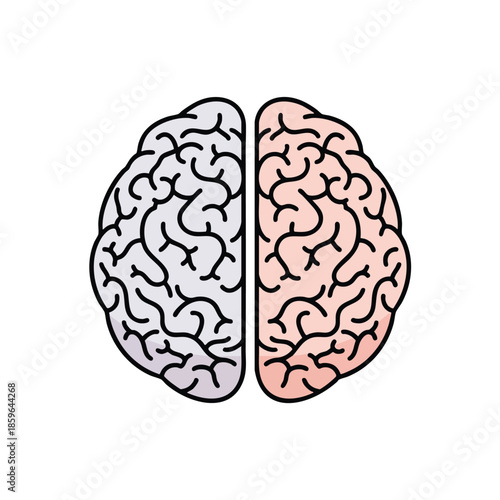 Diagram of a human brain, split in two with black outlines