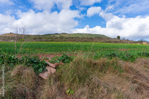 The Camino de Santiago in Cirauqui, between Puente de la Reina and Estella in Spain