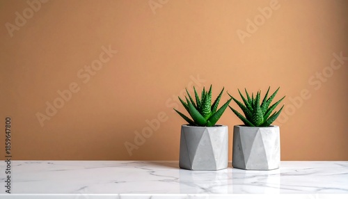 Two succulents in gray concrete pots on a white marble surface against a peach-colored wall