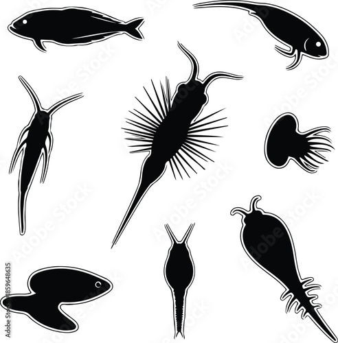 Silhouette collection of diverse microscopic aquatic organisms vector illustration