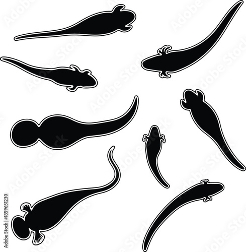 Silhouette of various tadpole shapes swimming in different directions Vector Illustration