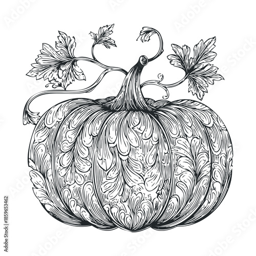 Elegant decorative pumpkin design for autumn celebrations. Vector illustration
