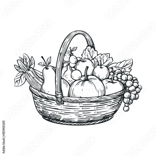 Fresh autumn harvest basket with various fruits and vegetables. Vector illustration