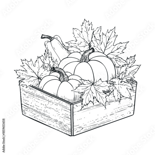 Autumn harvest with pumpkins and leaves in wooden crate. Vector illustration