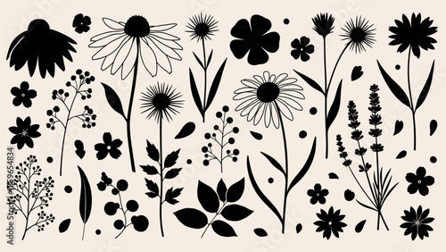 Botanical Silhouettes Delicate Floral Illustrations for Nature-Inspired Designs and Artistic Projects