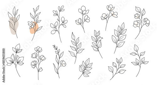 Collection of hand-drawn botanical illustrations with delicate flowers and leaves in a minimalist line art style with abstract color spots.