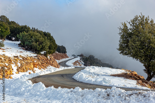 Road Through the Winter Hills