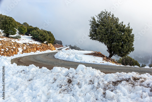 Road Through the Winter Hills