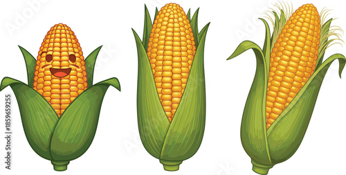 Cute cartoon corn cob vector illustration set showing smiling character and realistic maize ears isolated on white background for agriculture and food design