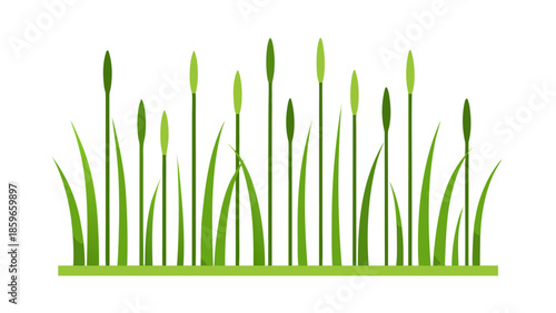 meadow with tall thin vertical lines representing for web and graphic design