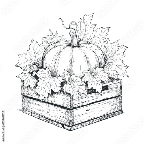 Harvest season pumpkin arrangement in rustic wooden box. Vector black icon