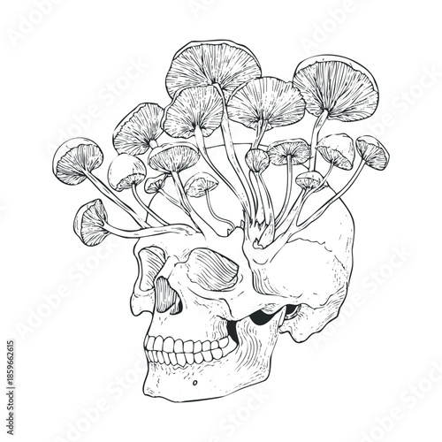 Concept of nature and decay with mushrooms growing from a skull. Vector black icon