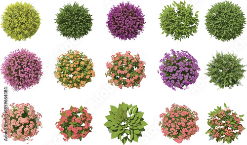 Colorful decorative garden bushes and flowering shrubs top view set, natural foliage elements collection for landscape design vector illustration