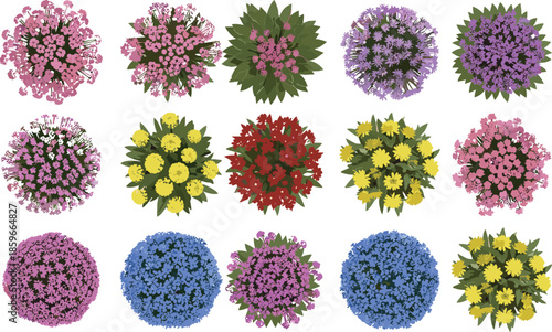 Colorful flowering garden bushes top view set, decorative shrubs and blooming plants collection for landscape design vector illustration art asset