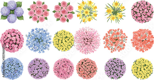 Colorful flowering garden plants top view set, decorative blooming bushes and floral arrangements for landscape design vector illustration collection asset