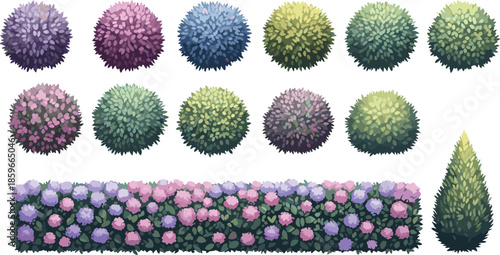 Colorful ornamental garden bushes and hedges vector set, decorative shrubs collection for landscape design, parks, borders, seamless greenery illustration use