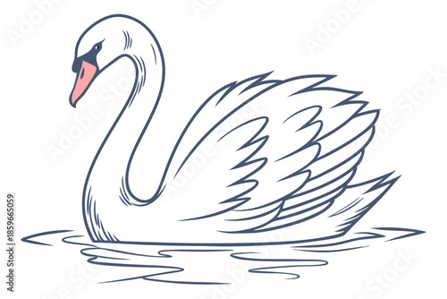 Graceful swan swimming on tranquil water isolated on white background