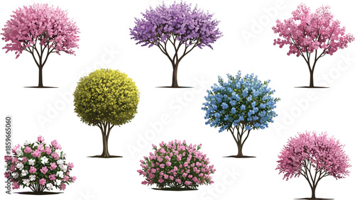 Colorful flowering tree and shrub collection vector illustration, decorative garden plants for landscape design, nature backgrounds, seasonal botanical concepts