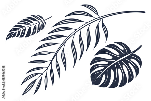 Tropical green leaves botanical nature isolated on white background