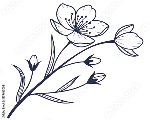 Beautiful wild flower blooming isolated on white background