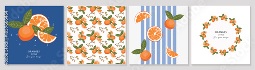 Set of 4 Mediterranean orange and mandarin illustrations. Includes seamless patterns, citrus frames, and cards. Fresh fruit design for summer branding, textile, and organic food packaging.