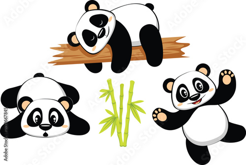 Three Cartoon Pandas and Bamboo on White Background