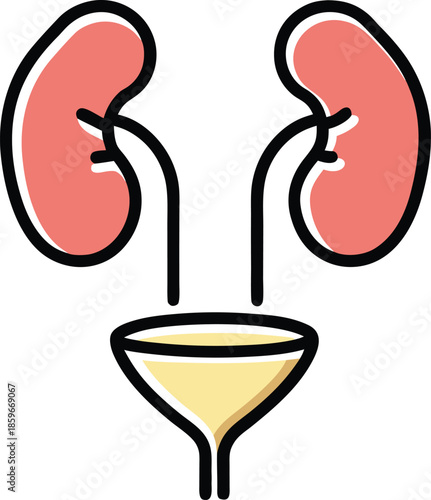 Kidneys filtering waste into a funnel on transparent background kidney urinary system human body anatomy medical health organ organs filtration illustration cartoon simple icon graphic