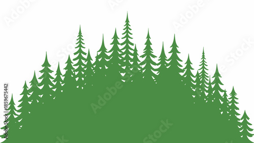 Silhouette of Evergreen Trees Against White Background.