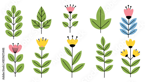 Set of Hand Drawn Floral Illustrations.