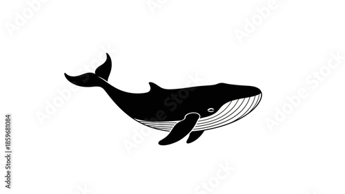 Black Whale Silhouette Illustration on White Background.