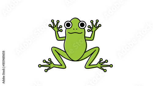 Green Frog Illustration.
