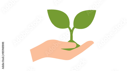 Hand Holding Small Green Plant Seedling.