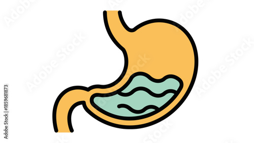 Human Stomach Anatomy Illustration Simple Design.