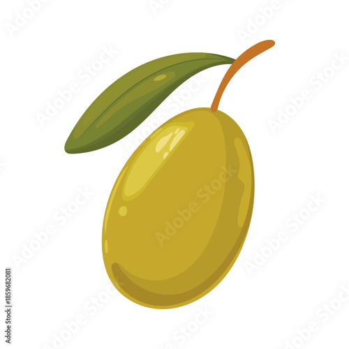 Branch of olives. Flat vector clipart, illustration with isolated background.