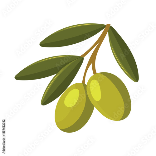 Branch of olives. Flat vector clipart, illustration with isolated background.