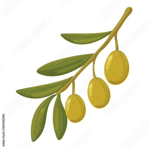 Branch of olives. Flat vector clipart, illustration with isolated background.