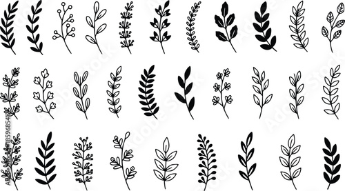 Hand Drawn Botanical Leaf Branch Sketches and Floral Vector Elements