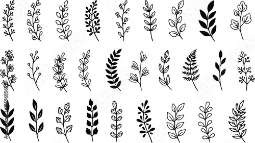 large set of hand drawn leaves and foliage elements suitable for branding packaging wall art and nature design