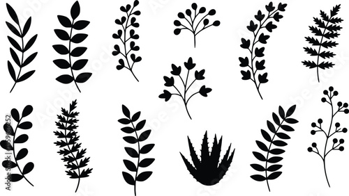 set of elegant black leaf and branch silhouettes suitable for logo design wall art branding tattoos and botanical graphics
