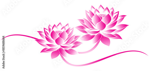 Illustration vector of pink lotus isolated on white