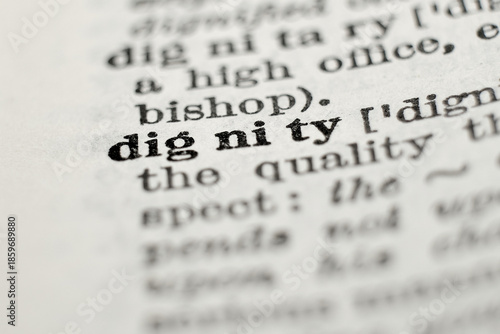 Dignity definition in English dictionary, macro close-up