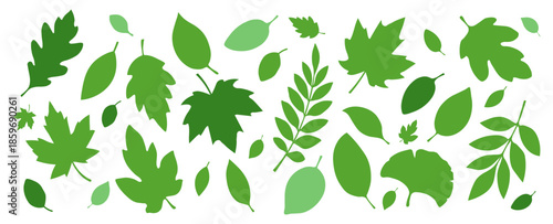 A set of silhouettes of green leaves of different shapes on a white background. Fresh, juicy leaves, for seasonal designs. Vector EPS 10.