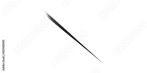 A single black needle with a sharp point on a white background.