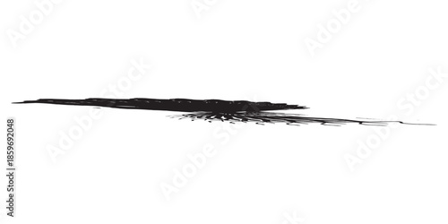 Abstract black brush stroke with fine details on white background.