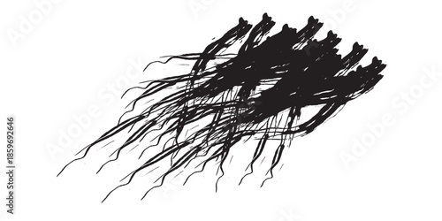 Abstract Black Brush Strokes Trailing Effect on White Background.